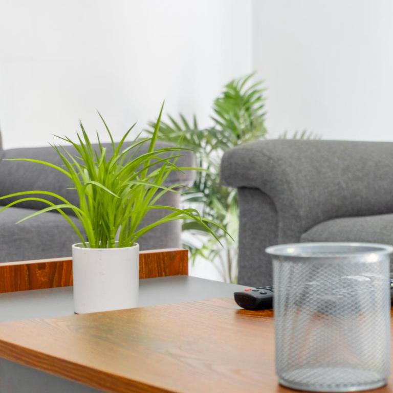Apartamento con Alberca SmartTV y Jardin - Apartamento de 2 dormitorios - 23