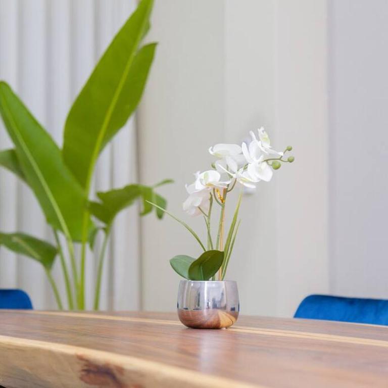 Apartamento Nuevo en Manga - Apartamento - Planta baja - 58
