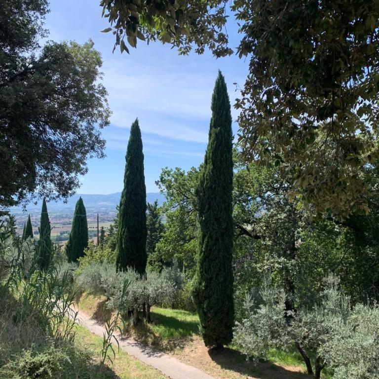 Borgo Eva - Appartamento con 2 Camere da Letto - 17