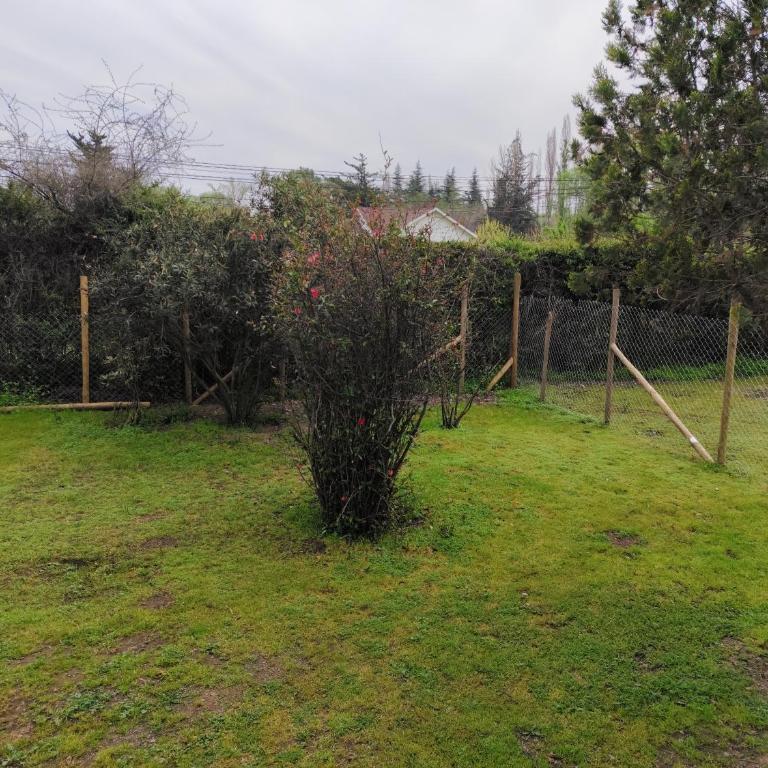 Casa en el Campo Paine - Casa de 3 dormitorios - 22