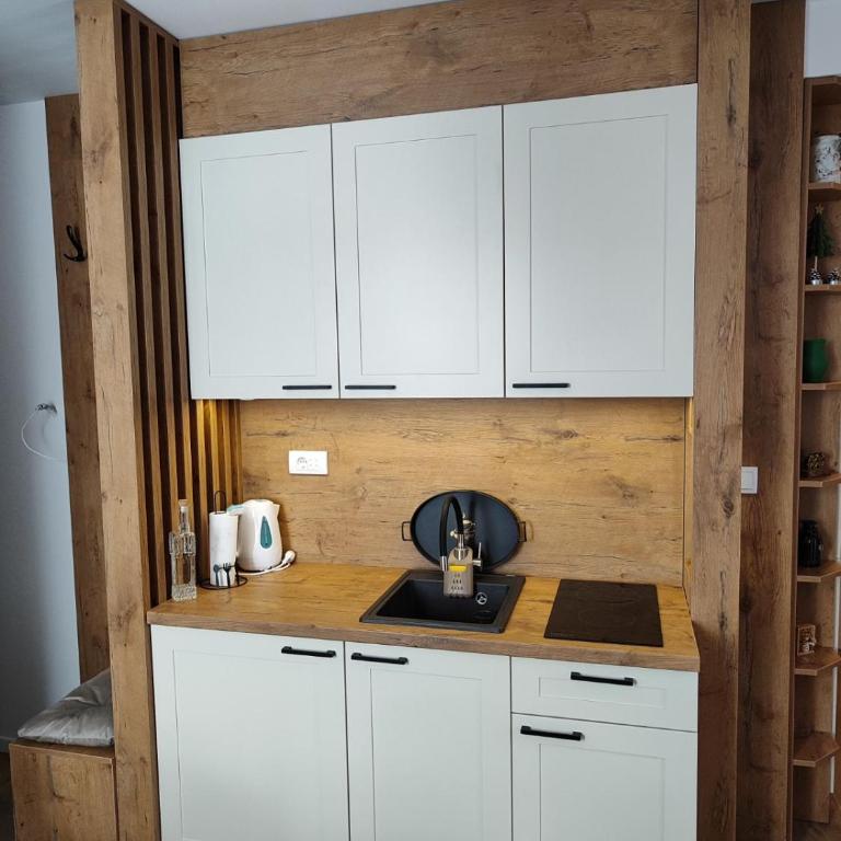 Apartman Bella Vista Jahorina - pogled na stazu - One-Bedroom Apartment - 5