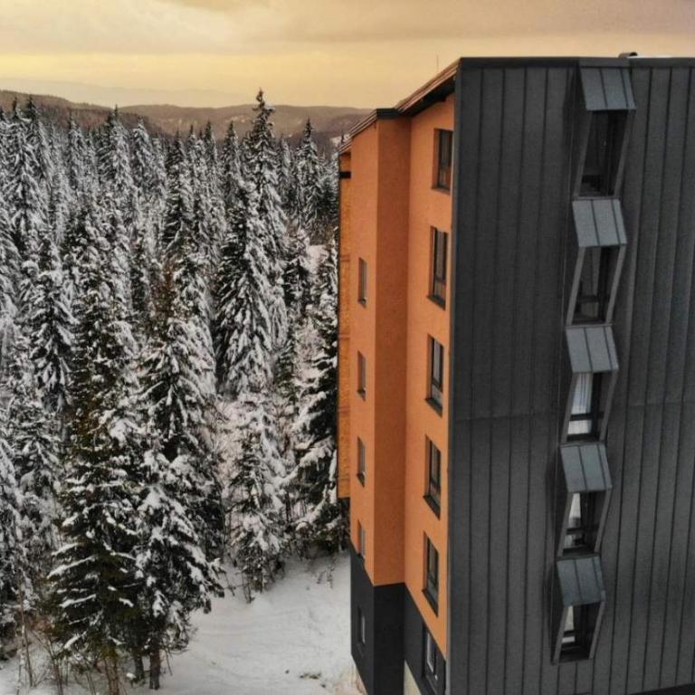 Apartman Bella Vista Jahorina - pogled na stazu - One-Bedroom Apartment - 17