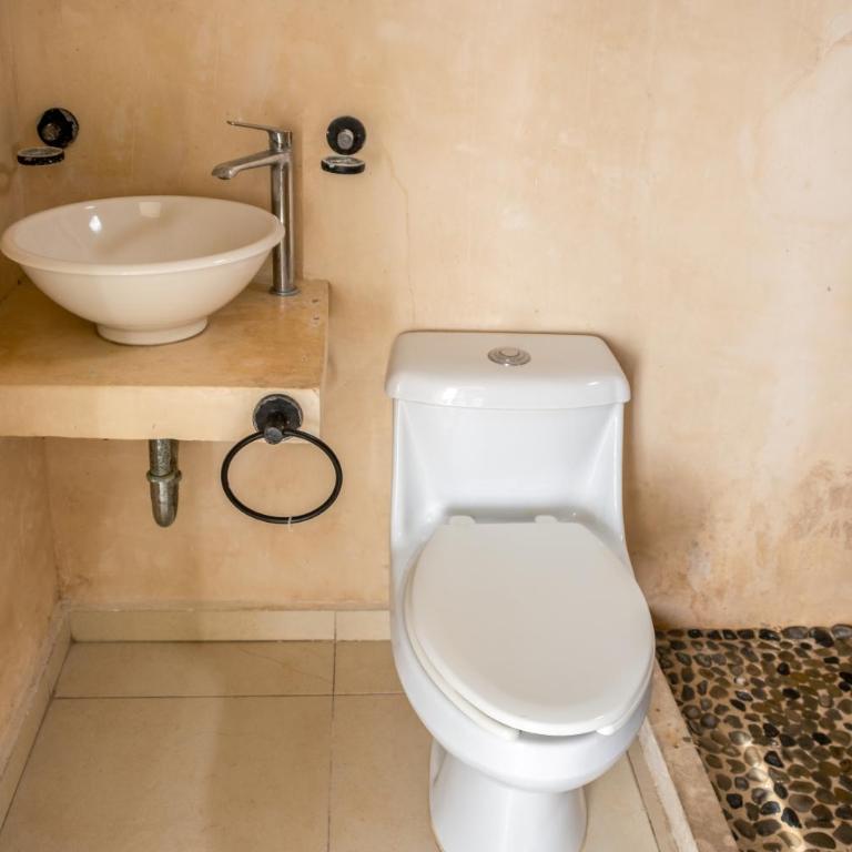 Hotel Paso del Mar Playa del Carmen - Standard Single Room - 1
