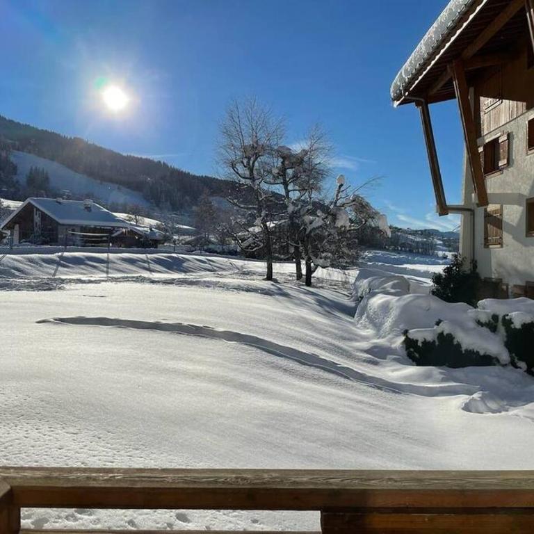 Charming Bright Spacious Village Walk to lift Hike - Appartement 2 Chambres - 9