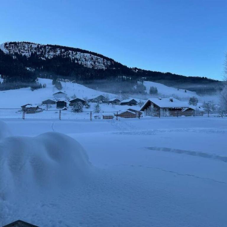 Charming Bright Spacious Village Walk to lift Hike - Appartement 2 Chambres - 43