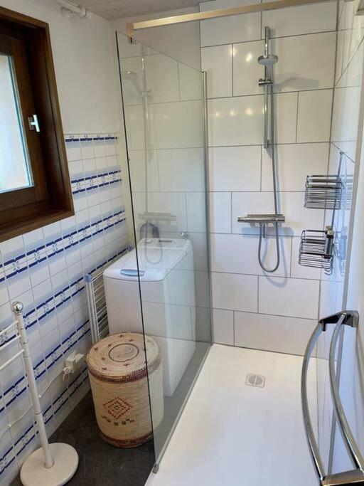 Charming Bright Spacious Village Walk to lift Hike - Appartement 2 Chambres - 49