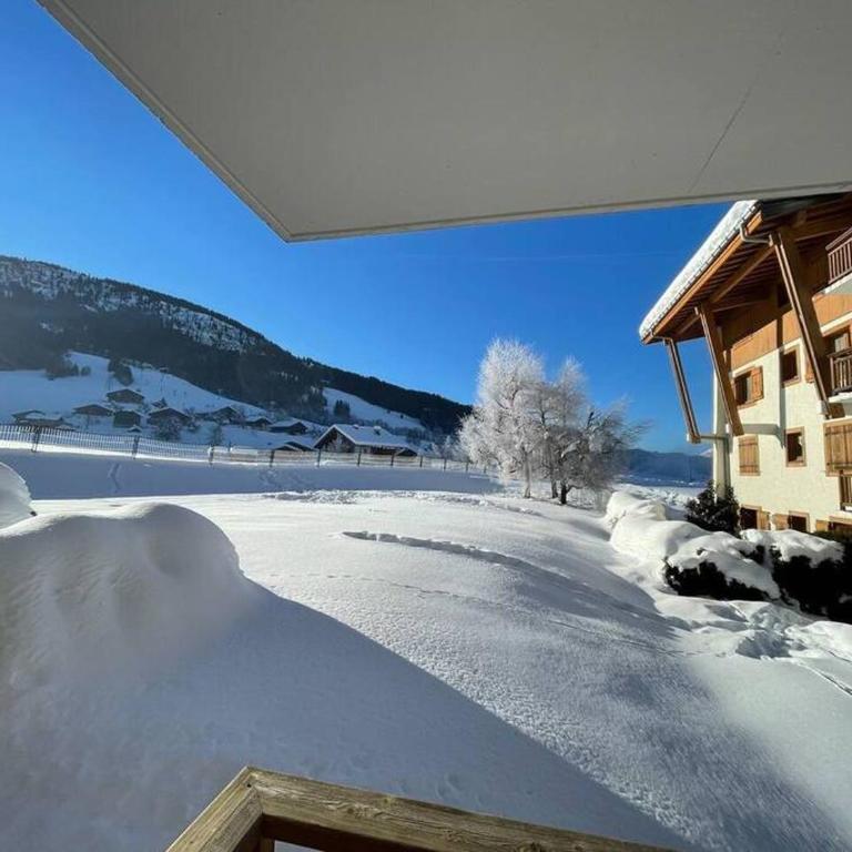 Charming Bright Spacious Village Walk to lift Hike - Appartement 2 Chambres - 53
