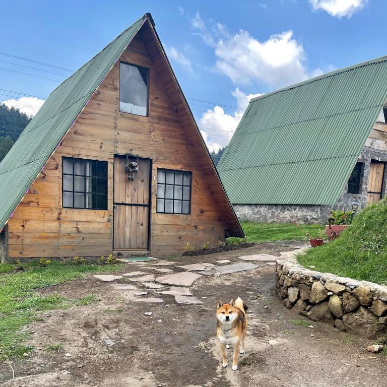 Bosque de Perlillas - Two-Bedroom Chalet - 1
