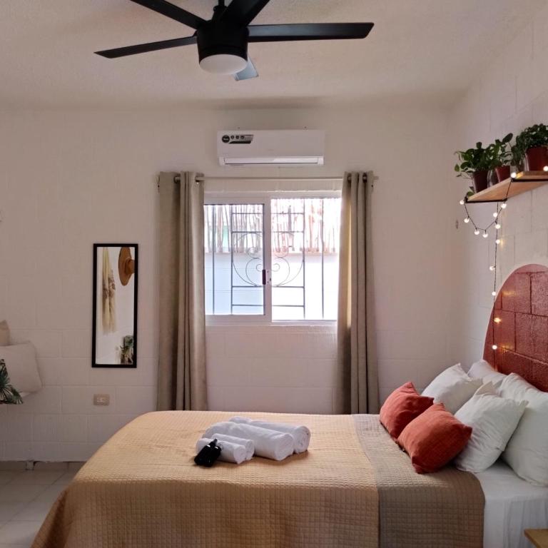 Casa Palmita - Standard Double Room - 2