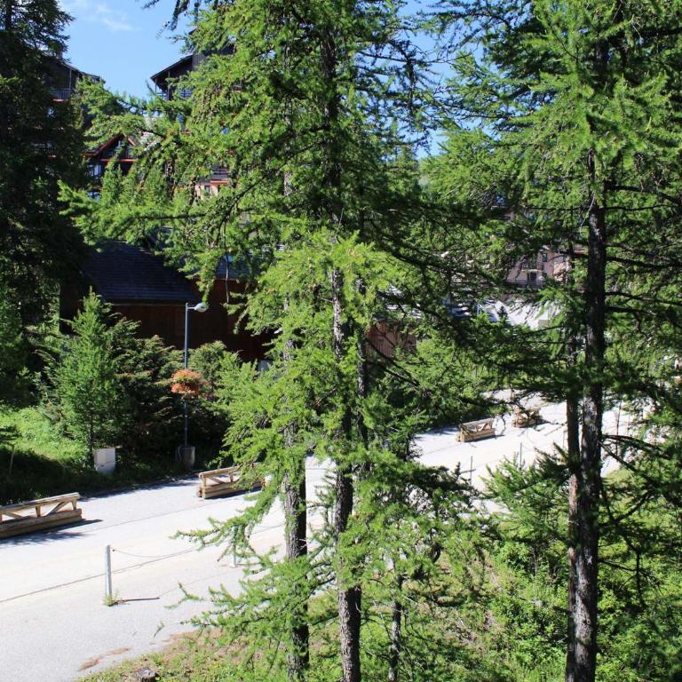 Studio 4 pers. avec balcon sud, calme, parking gratuit - Risoul 1850 - Appartement 1 Chambre - 15