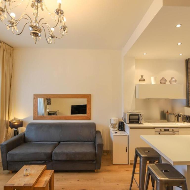 Annecy apt w car park near downtown and lake - Appartement - 9