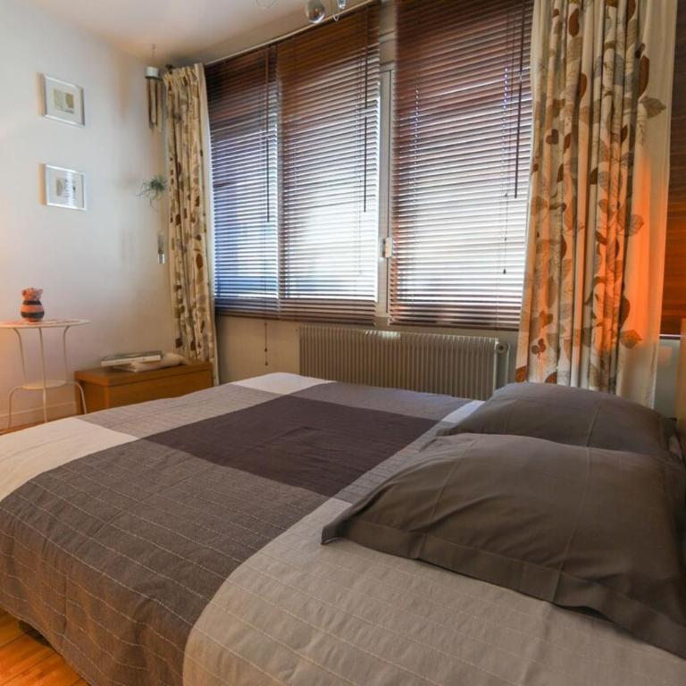 Le Rhône - Appartamento con 1 Camera da Letto - 34