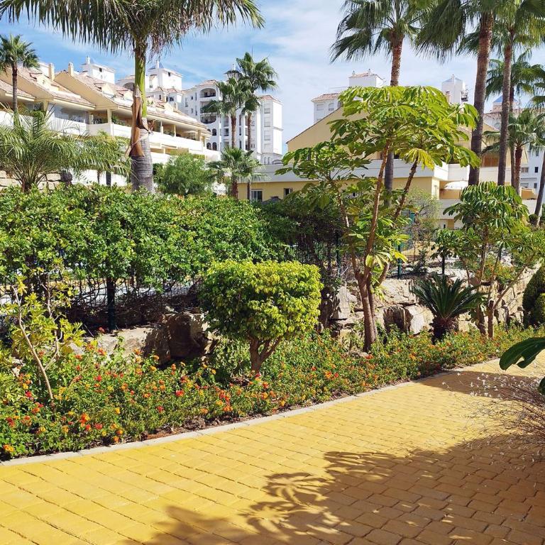 Apartamento Puertosol - Apartamento con terraza - 31