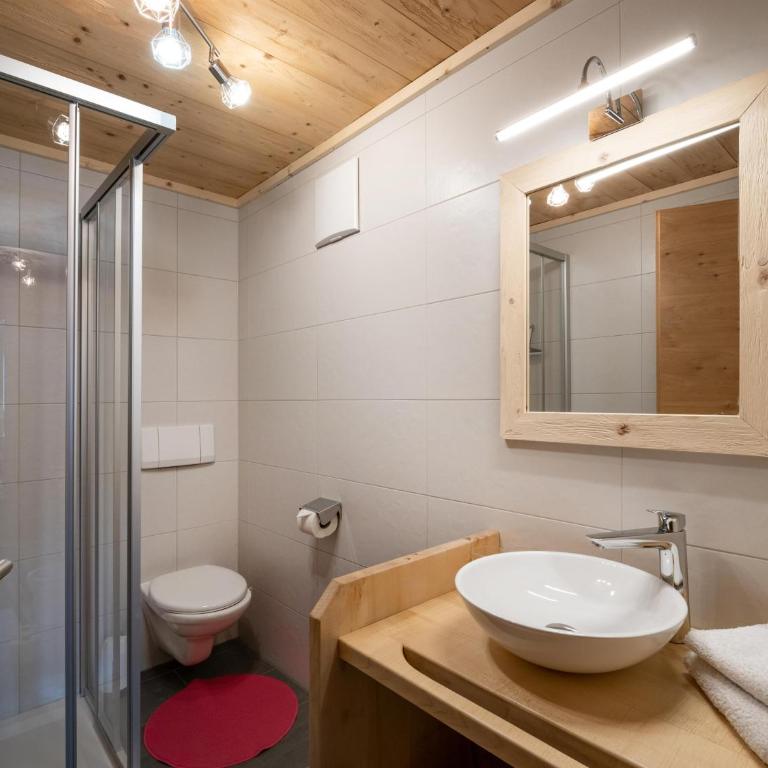Appartements Grünholz - Appartamento con 2 Camere da Letto e con Doccia - 6