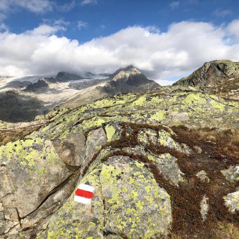 Nido Alpino Fiescheralp - Studio mit Bergblick - 26