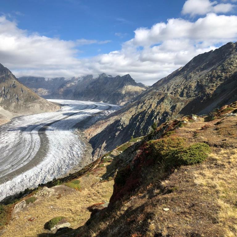 Nido Alpino Fiescheralp - Studio mit Bergblick - 27