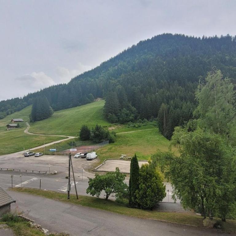 Charmant 2 pièces avec balcon et parking au Col du Corbier - Appartement 1 Chambre - 10