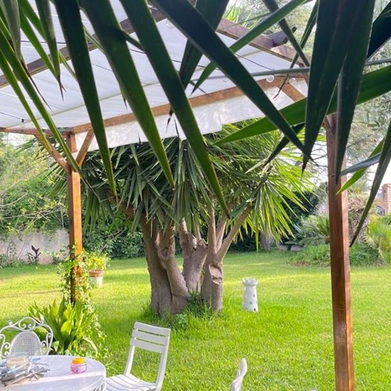 Villa Daniela - Appartamento in villa - Appartamento con 2 Camere da Letto - 2