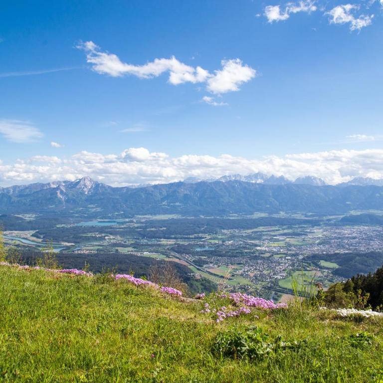 Ferienhäuser Gerlitze - Haus mit 3 Schlafzimmern - 9