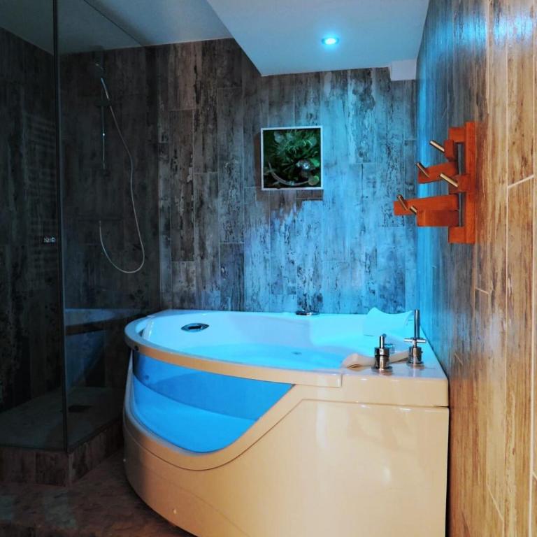 Le Cocon - Lofts & Lakes certified 4-stars - Superior Apartment mit Sauna - 1