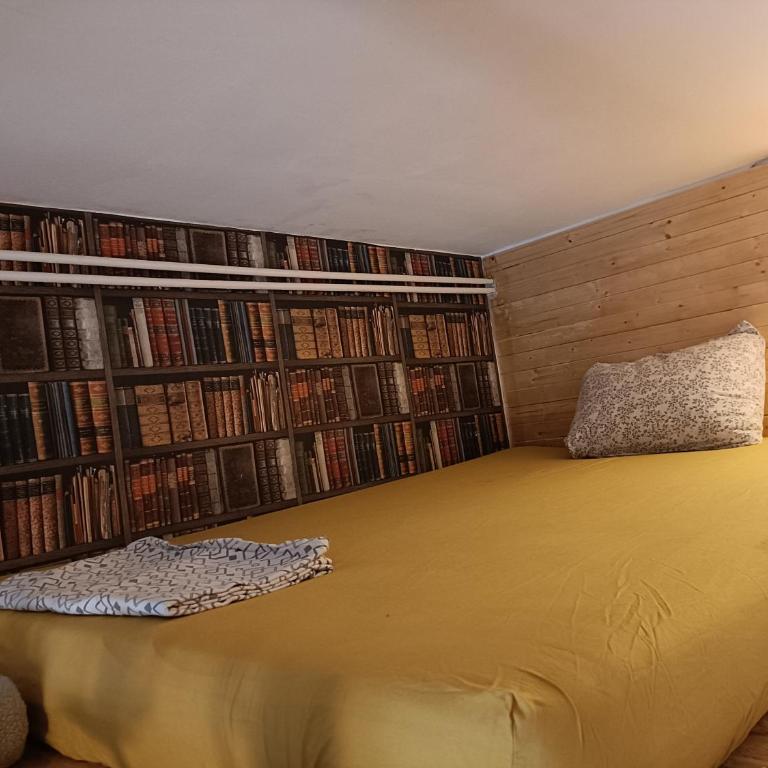 Studio cosy rénové -Hyper centre Grenoble, 1 min Gare-Tram - Appartement 1 Chambre - 21