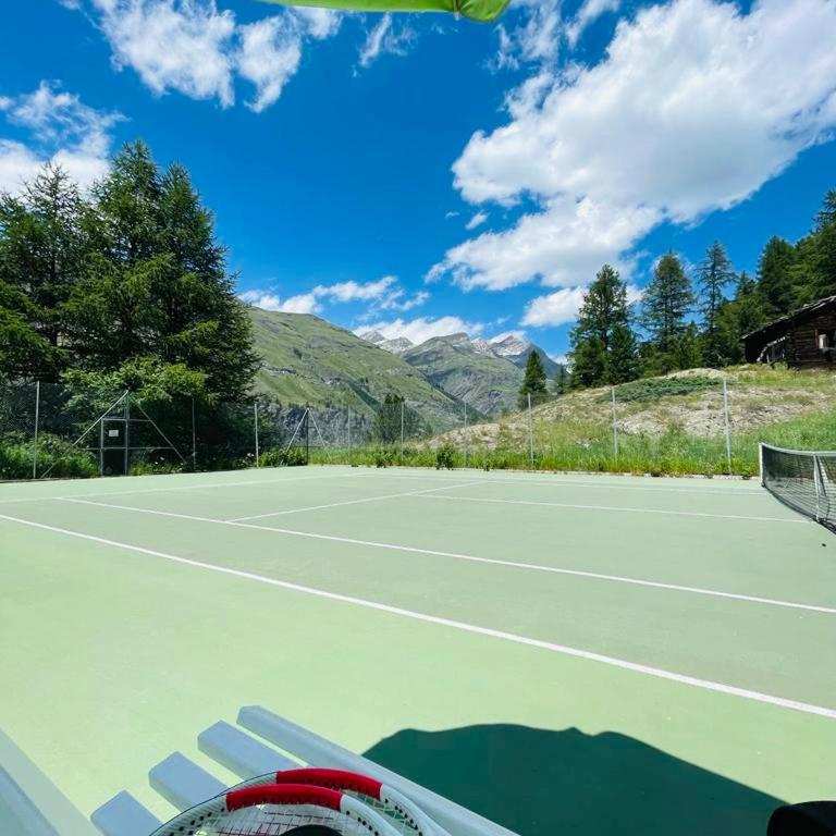 Chalet Alm - Apartment mit Blick auf die Berge - 15