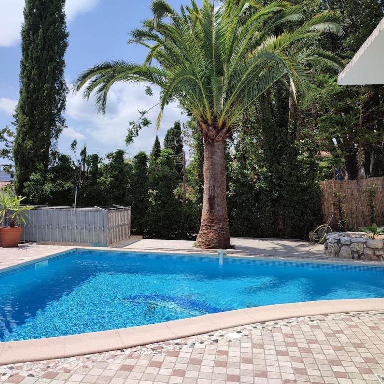 Studio with garden and pool - Appartement 1 Chambre - 9