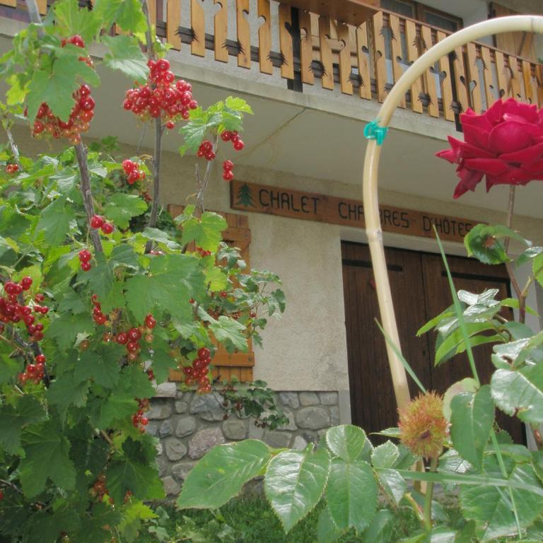 B&B Chalet La Providence - Chambre Lits Jumeaux Standard - 2