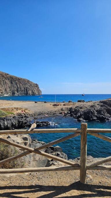 Apartman Los Cristianos-Cristimar - Apartamento de 3 dormitorios - 39