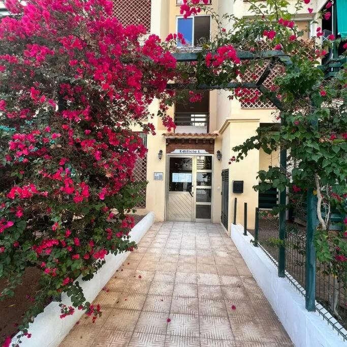 Apartman Los Cristianos-Cristimar - Apartamento de 3 dormitorios - 32