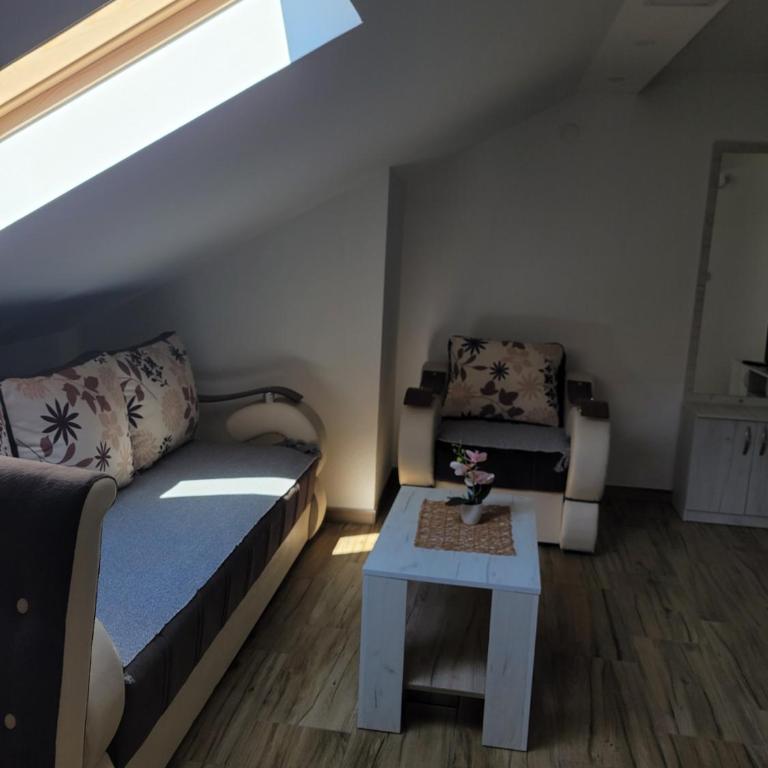 Apartmani Zvezdana - Apartman Tipa "Suite" sa 1 Spavaćom Sobom - 9