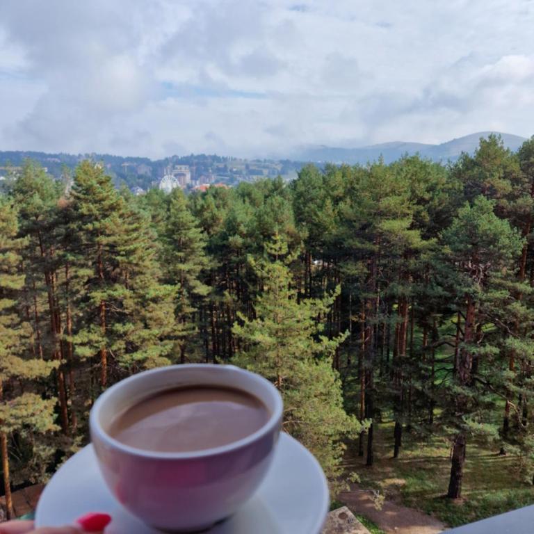 Zlatibor Royal Dream - One-Bedroom Apartment - 8