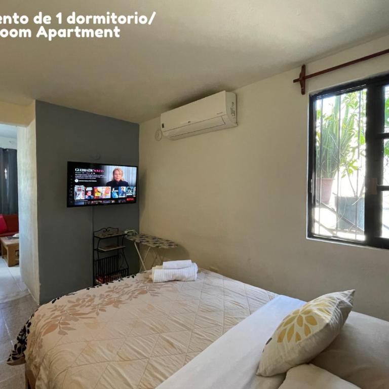 Casa de Yoli - Apartamento de 1 dormitorio - 2