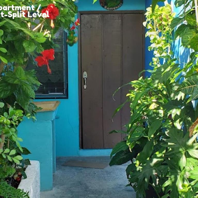 Casa de Yoli - Apartamento - 2 niveles - 11