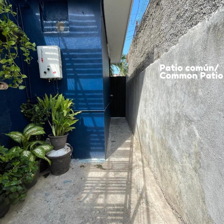 Casa de Yoli - Apartamento de 1 dormitorio - 25