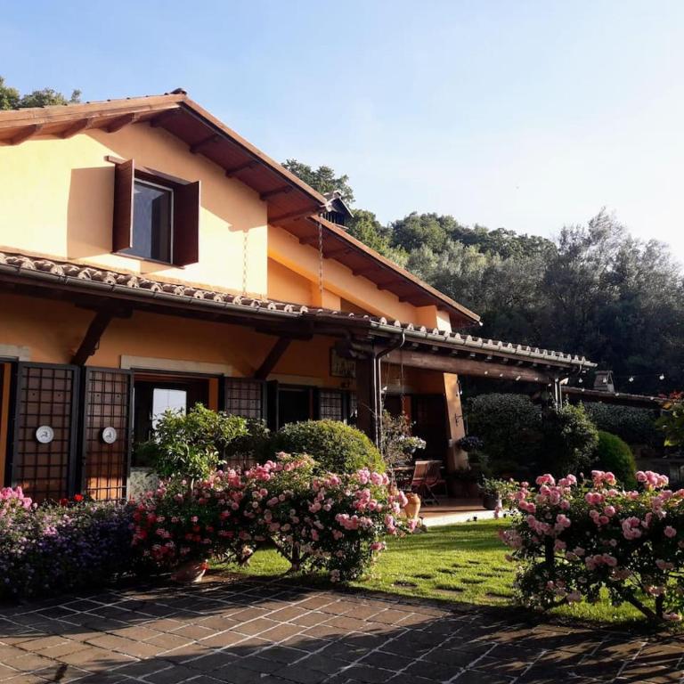 La Cerasa - vista Lago di Bracciano e giardino privato - Casa Vacanze - 1