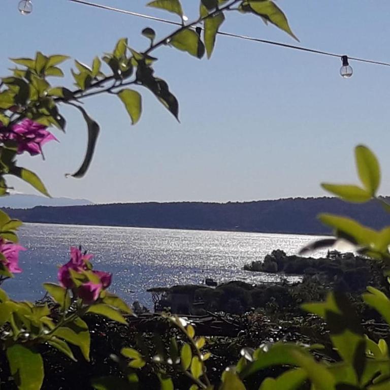 La Cerasa - vista Lago di Bracciano e giardino privato - Casa Vacanze - 52