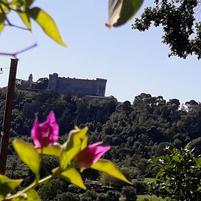 La Cerasa - vista Lago di Bracciano e giardino privato - Casa Vacanze - 54