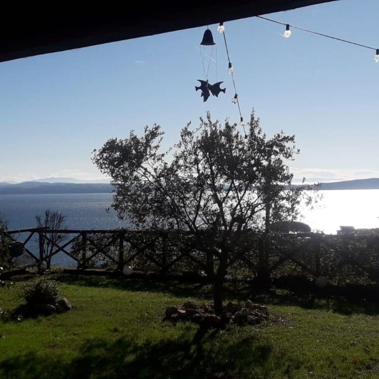La Cerasa - vista Lago di Bracciano e giardino privato - Casa Vacanze - 13