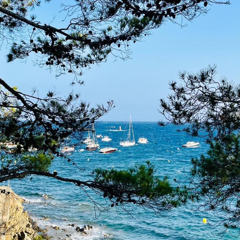 Vue exceptionnelle sur la baie de Collioure - Apartment mit 1 Schlafzimmer - 50