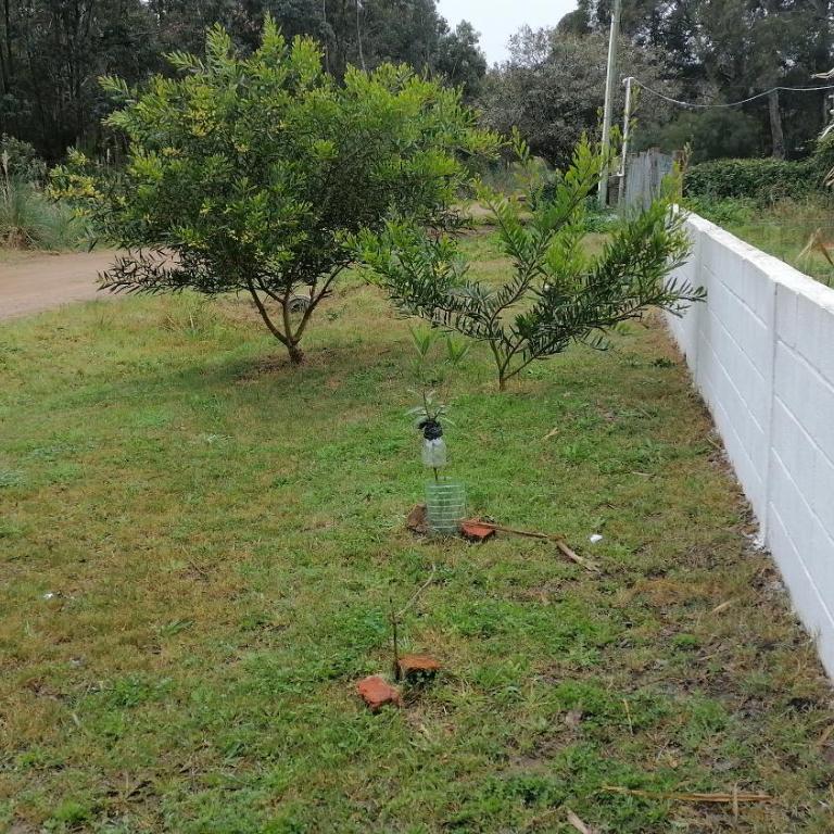 Casa en Sierras del Mar - Casa de 2 dormitorios - 1