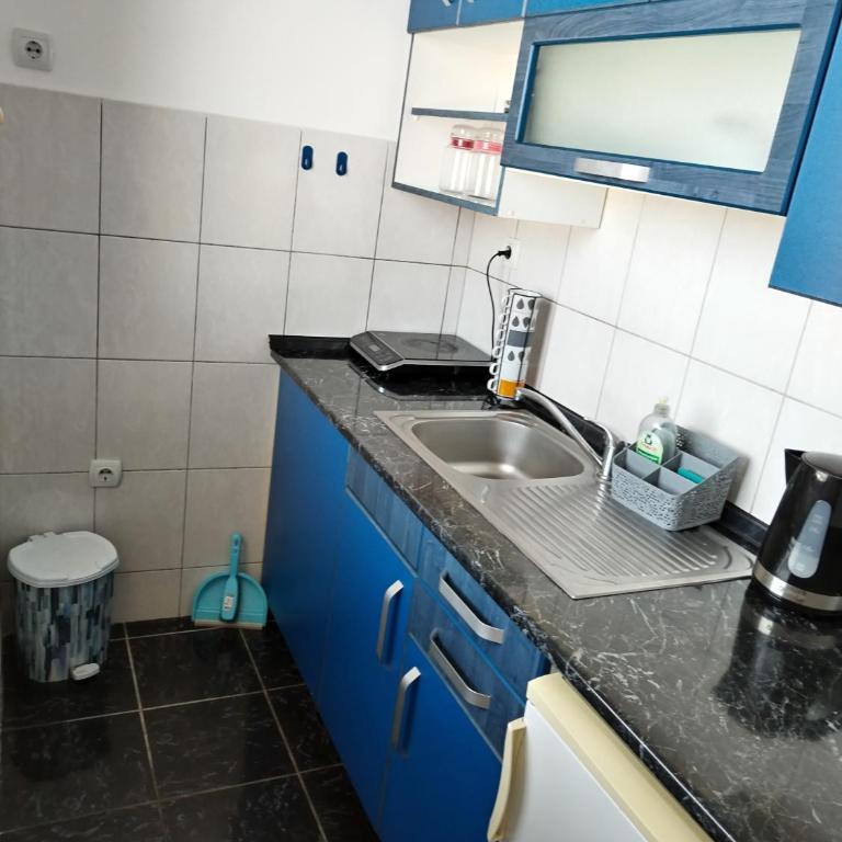 Apartman Bogdan - Apartman sa 1 Spavaćom Sobom - 12