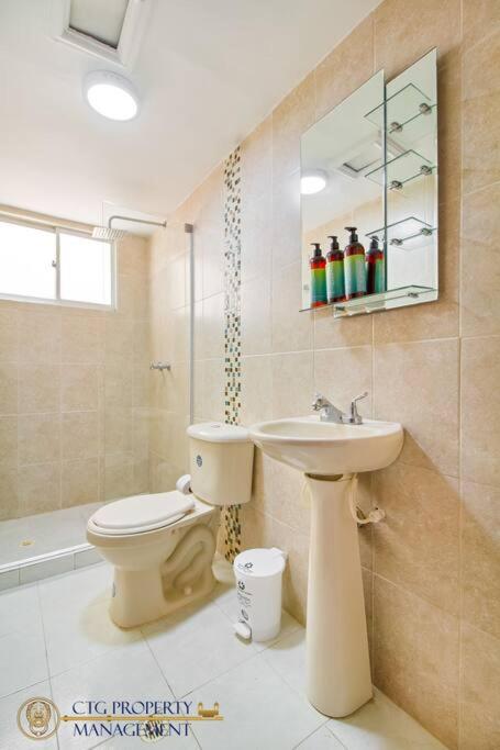 Apartamento con Excelente Ubicación - Camina a Buena Vista - Apartamento de 3 dormitorios - 19