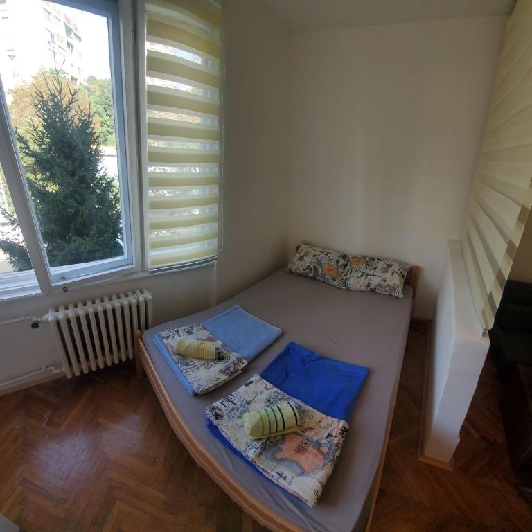 Zvezdara - One-Bedroom Apartment - 2