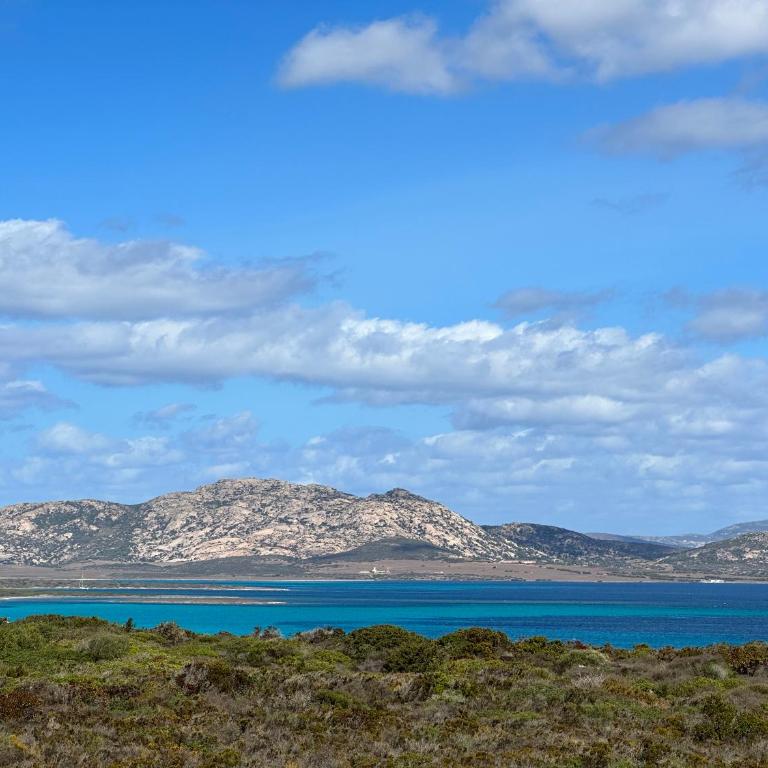 Stintino casa panoramica a 500 mt dal mare - Casa con 3 Camere da Letto - 1