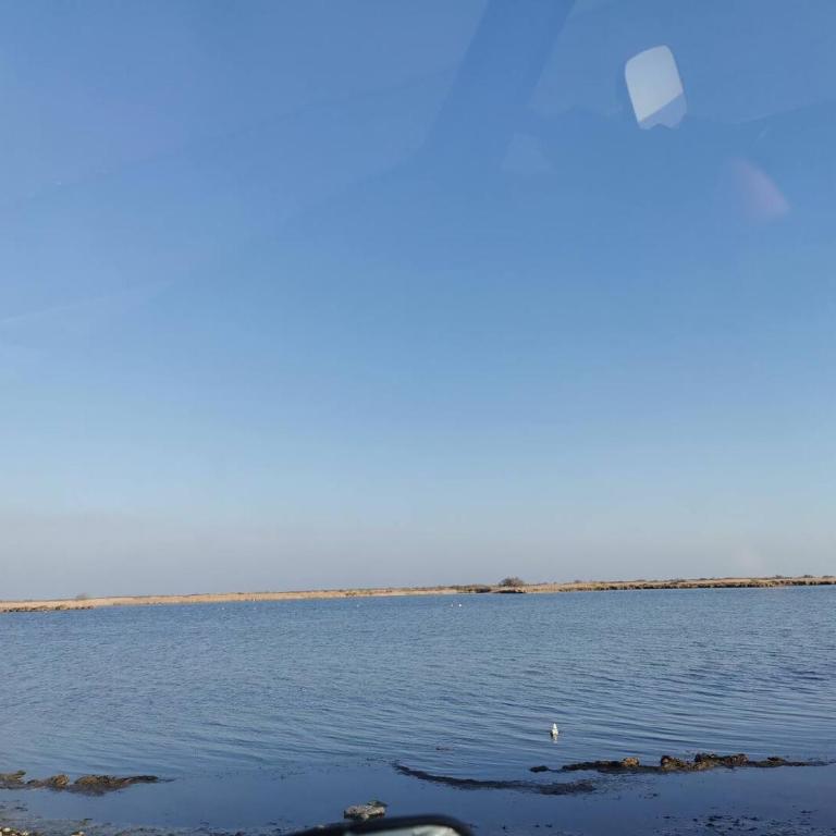 Plages de camargue et logement dans un site calme de rêve - Two-Bedroom Apartment - 3