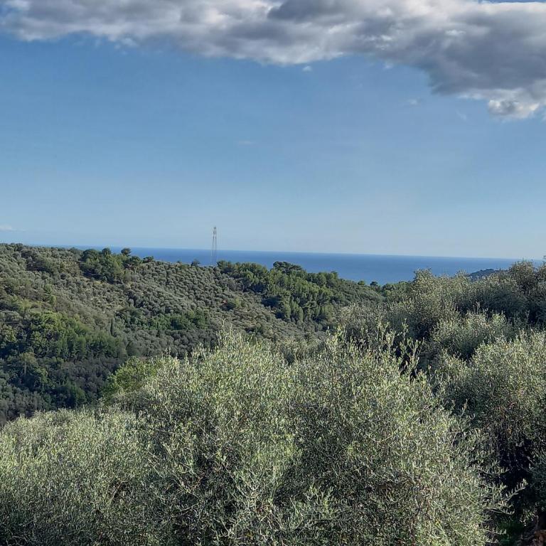 Le casasse - Appartamento con Terrazza - 1