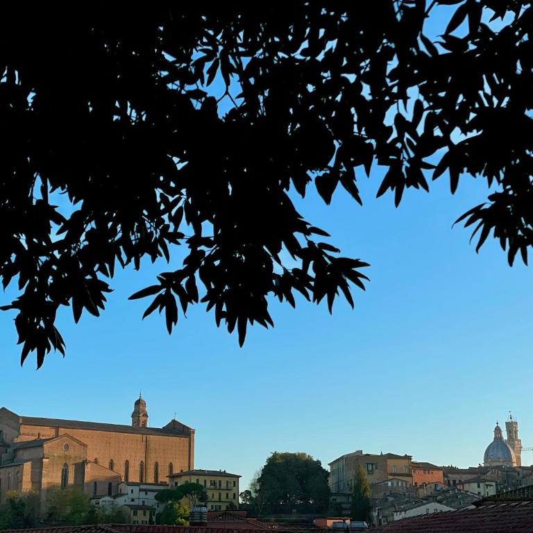 acasasiena - Appartamento con 2 Camere da Letto - 14