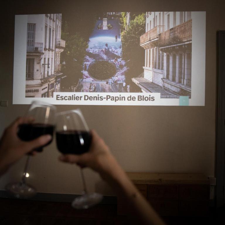 Le Petit Nicolas - Centre historique de Blois - NETFLIX, JEUX, RETROJECTEUR - Appartement 1 Chambre - 14