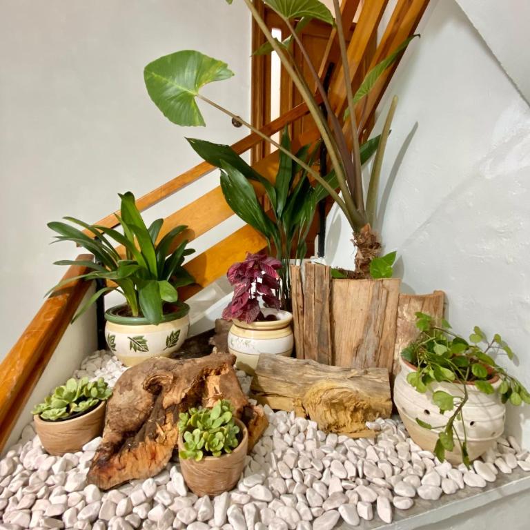A Michelena de Pedra - Apartamento de 2 dormitorios - 17